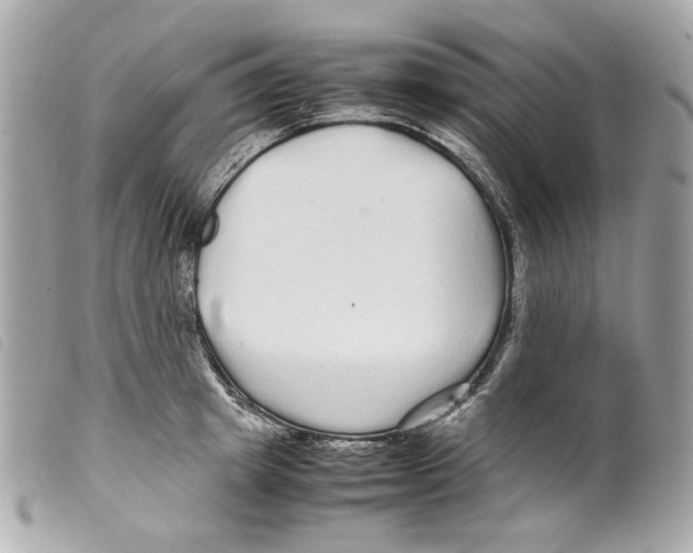 X0000099310849200805301153