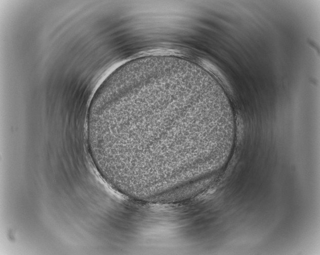 X0000099310852200805301153