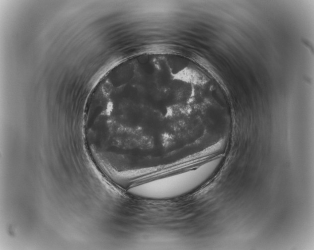 X0000099310853200805301153