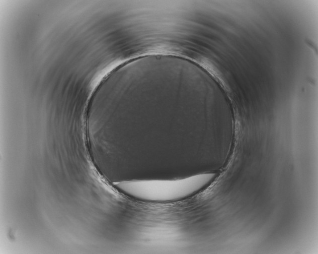 X0000099310854200805301153