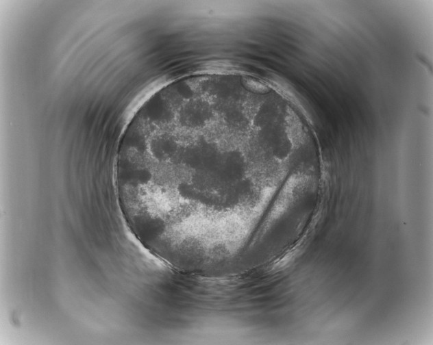 X0000099310855200805301153