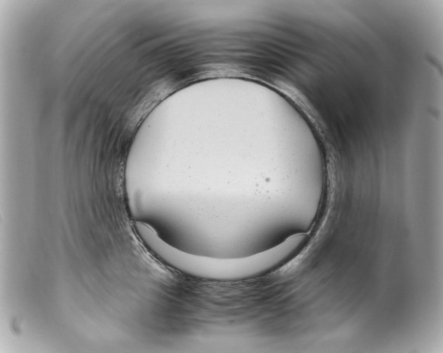 X0000099310857200805301153