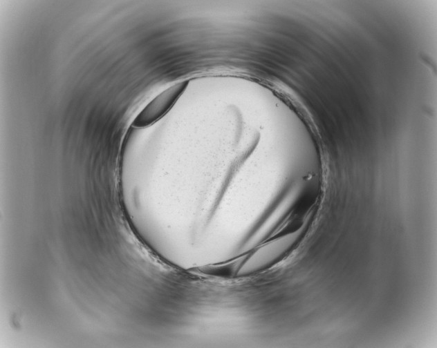 X0000099310860200805301153