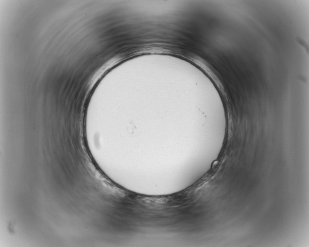 X0000099310861200805301153