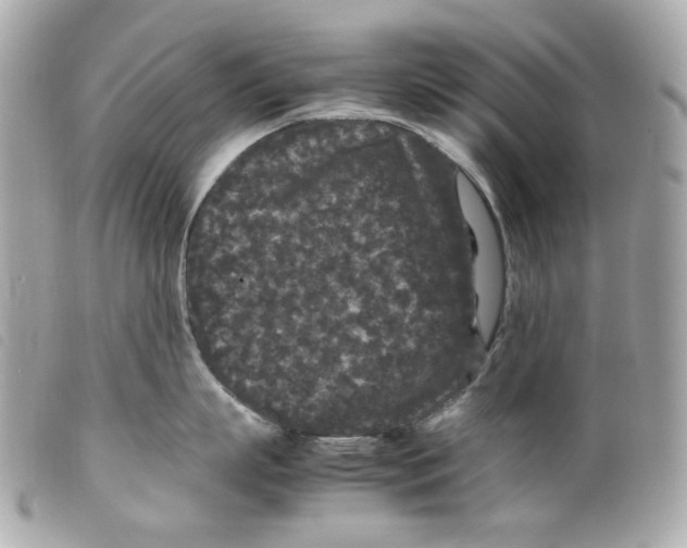 X0000099310863200805301153