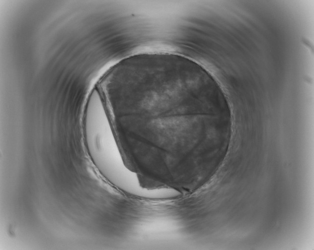 X0000099310864200805301153