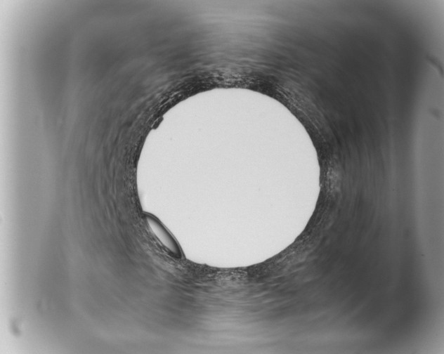 X0000099310865200805301152