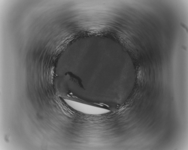 X0000099310868200805301152
