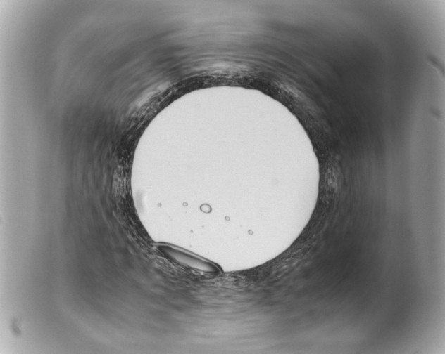 X0000099310869200805301152