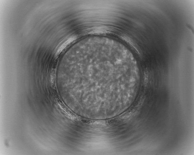 X0000099310874200805301152