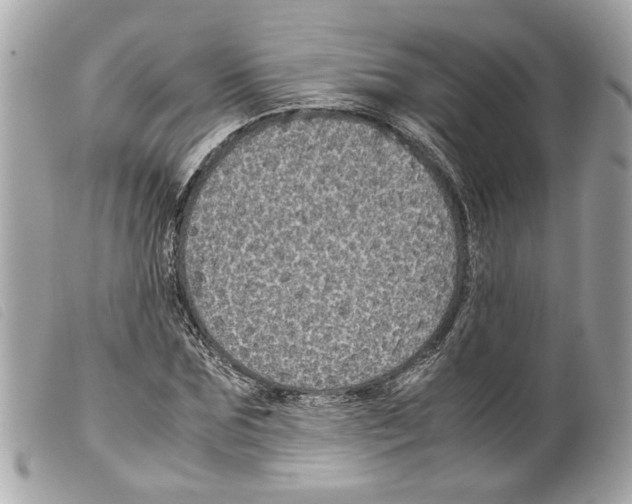 X0000099310875200805301152