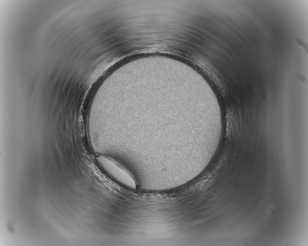 X0000099310876200805301152