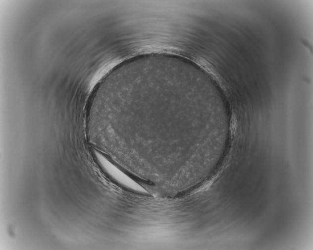 X0000099310877200805301152