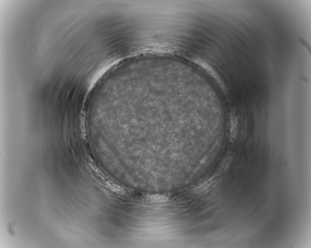 X0000099310878200805301152