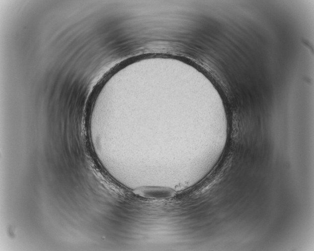 X0000099310880200805301152