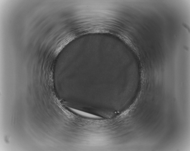 X0000099310881200805301152