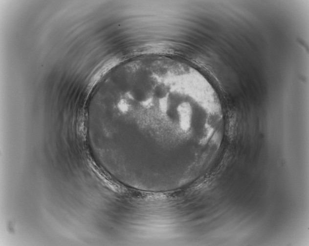 X0000099310882200805301152