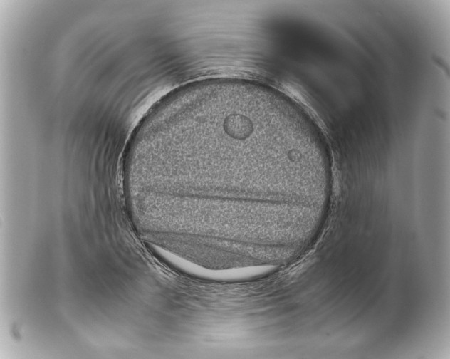 X0000099310883200805301152