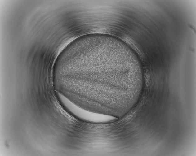 X0000099310884200805301152