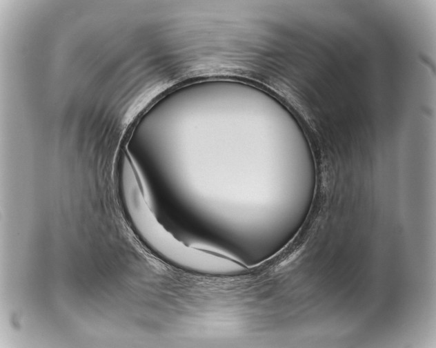X0000099310885200805301152