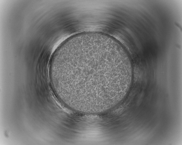 X0000099310886200805301152