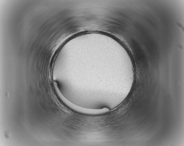 X0000099310887200805301152