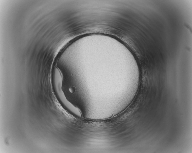 X0000099310888200805301152