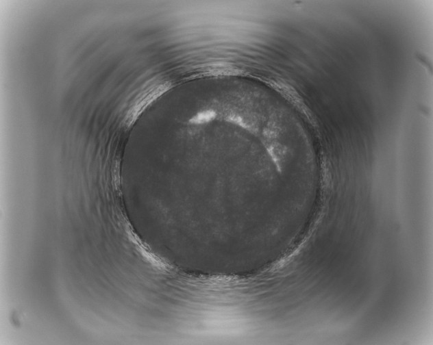 X0000099310889200805301152