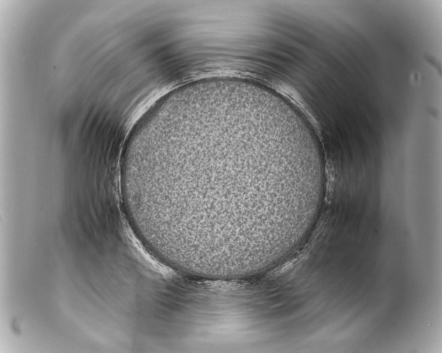 X0000099310890200805301152