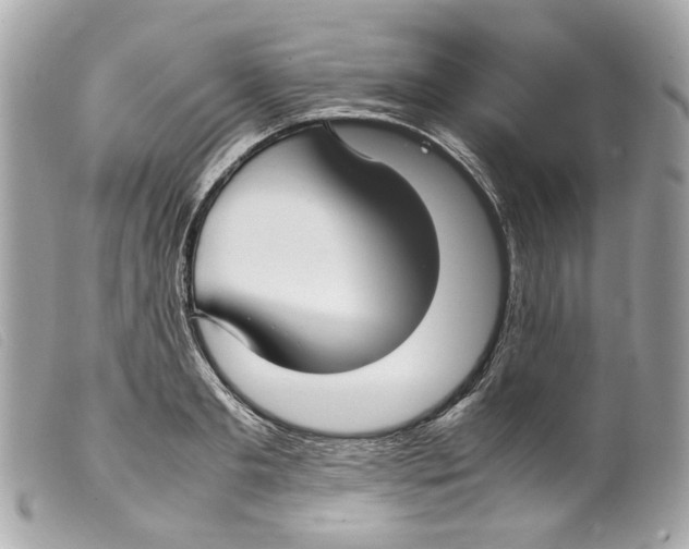 X0000099310893200805301152