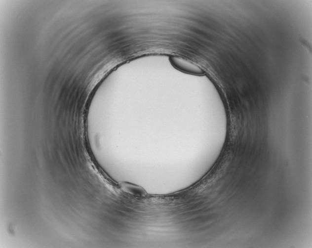 X0000099310898200805301152