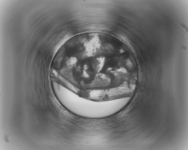 X0000099310899200805301152