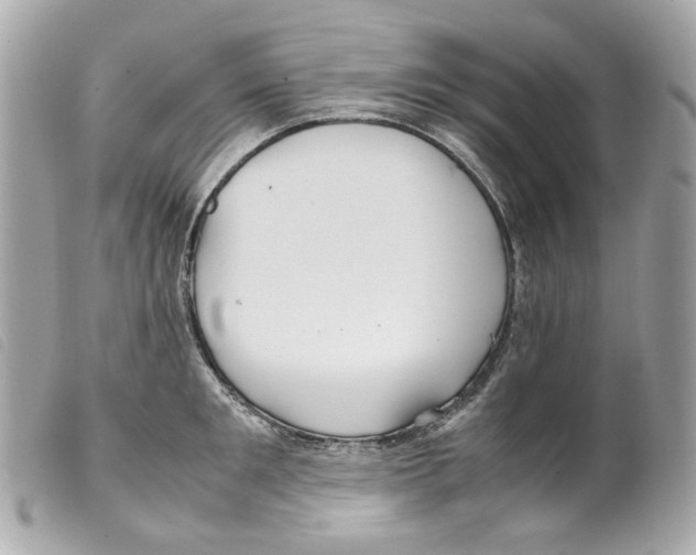 X0000099310901200805301152