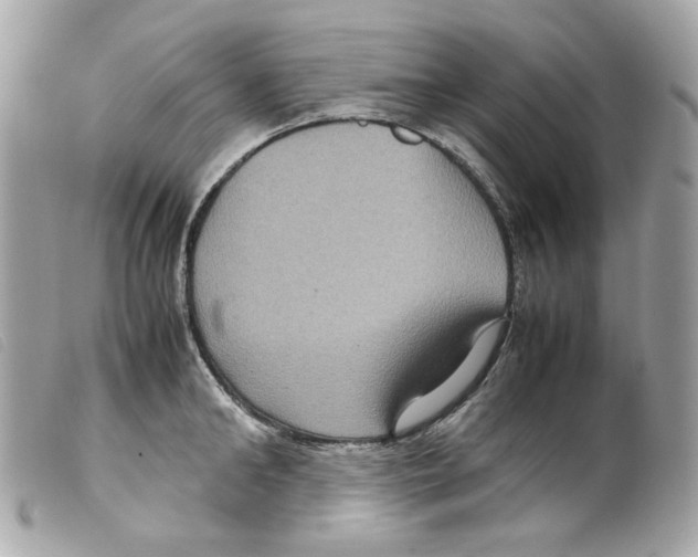 X0000099310902200805301152