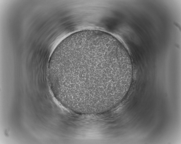 X0000099310903200805301152