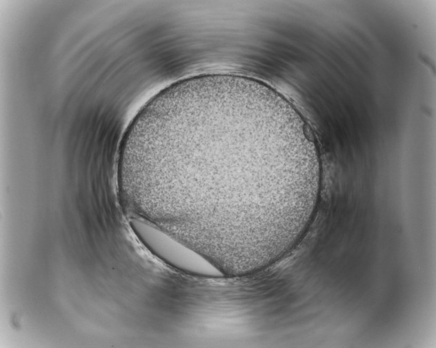 X0000099310904200805301152