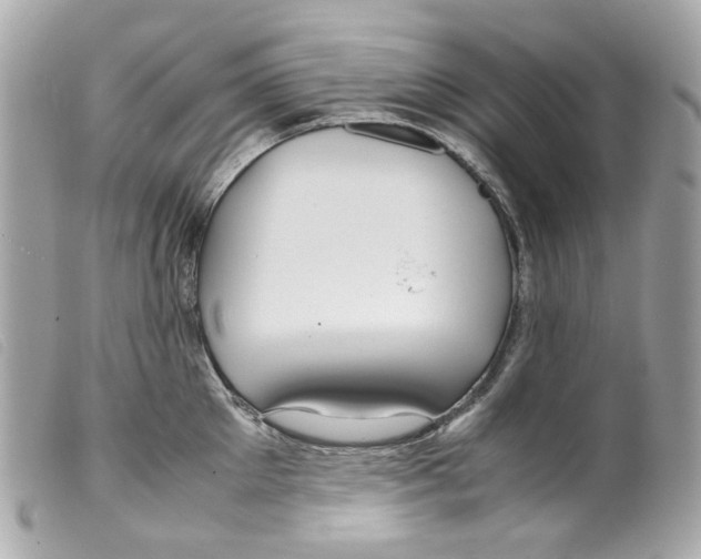 X0000099310905200805301152