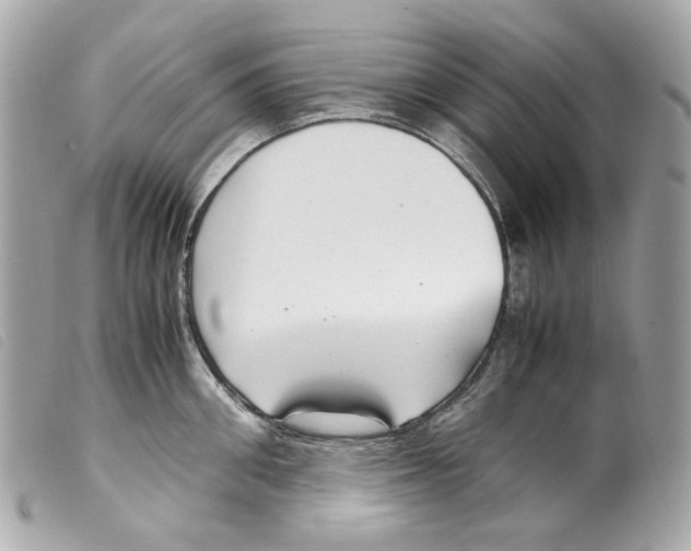 X0000099310906200805301152