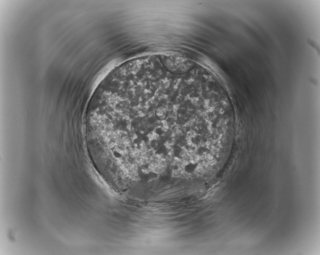 X0000099310907200805301152