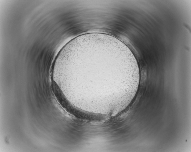 X0000099310908200805301152