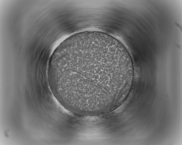 X0000099310910200805301152