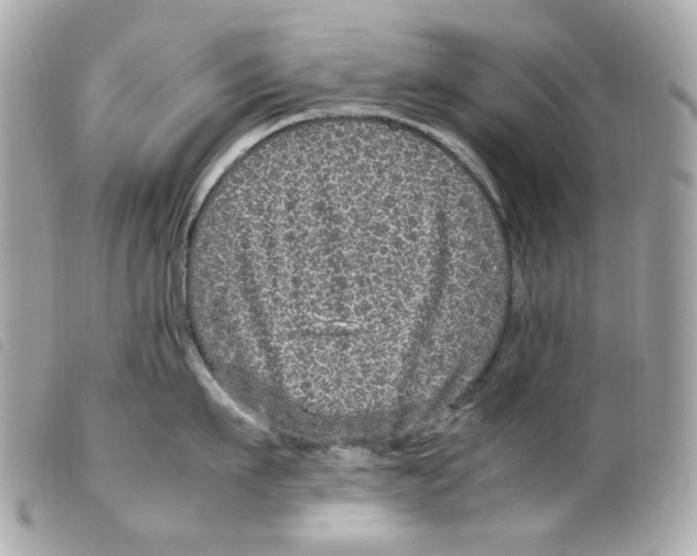 X0000099310911200805301152