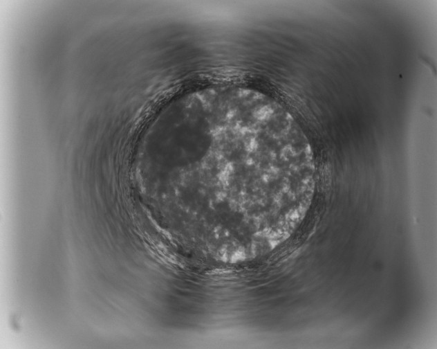 X0000099310913200805301151