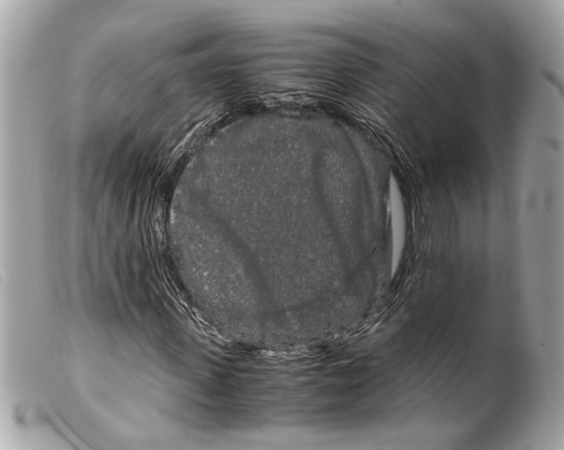 X0000099310915200805301151