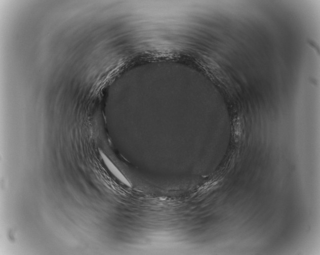 X0000099310916200805301151