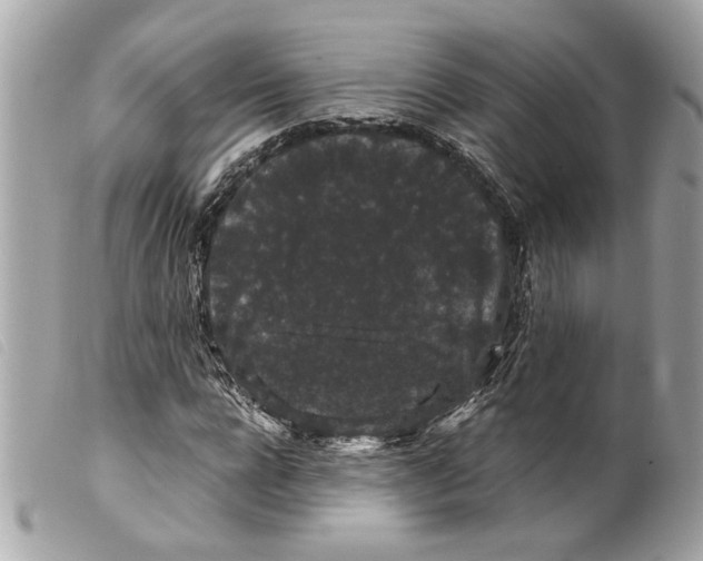X0000099310920200805301151