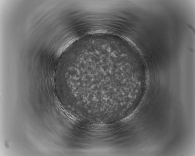 X0000099310921200805301151