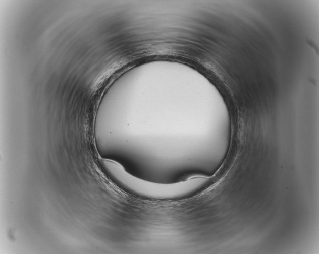 X0000099310922200805301151