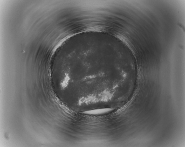 X0000099310923200805301151