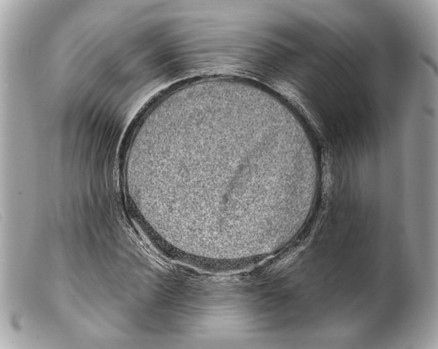 X0000099310924200805301151